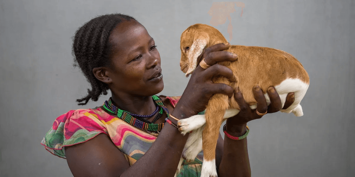Small Ruminant Breeding Masterclass